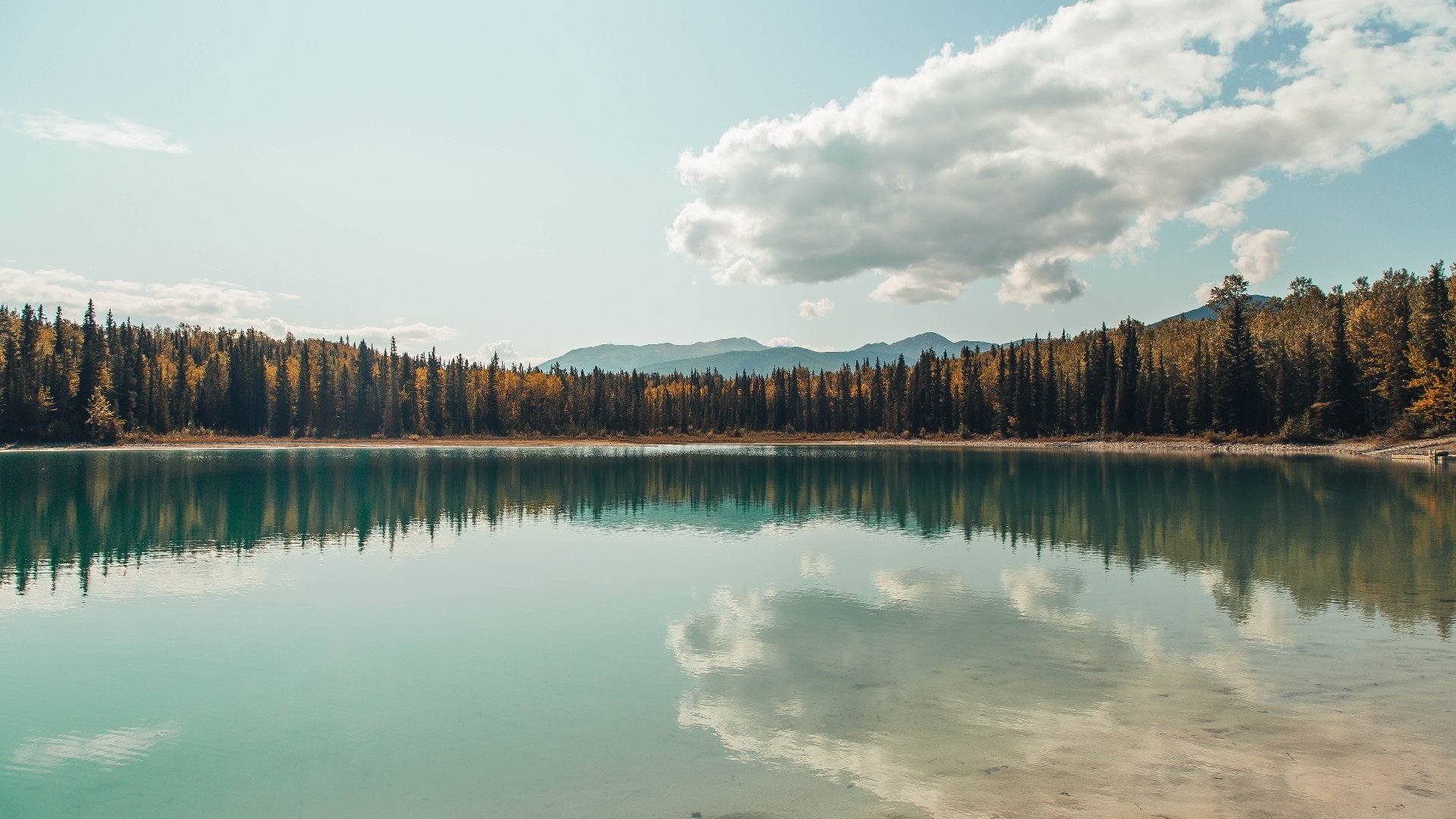 开云官网APP下载-“青少年足球公益推广在边远地区掀起高潮”，青少年公益足球计划