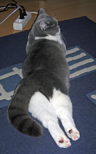 开云网页版-全国青年羽毛球锦标赛精彩落幕，竞争激烈，2021全国青年羽毛球赛事