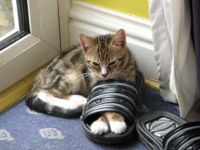 法甲第四轮,马赛逆袭夺得宝贵积分,法甲马赛延期