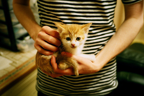 特色足球文化节在多个城市落幕,弘扬民族体育精神,足球文化节内容怎么写