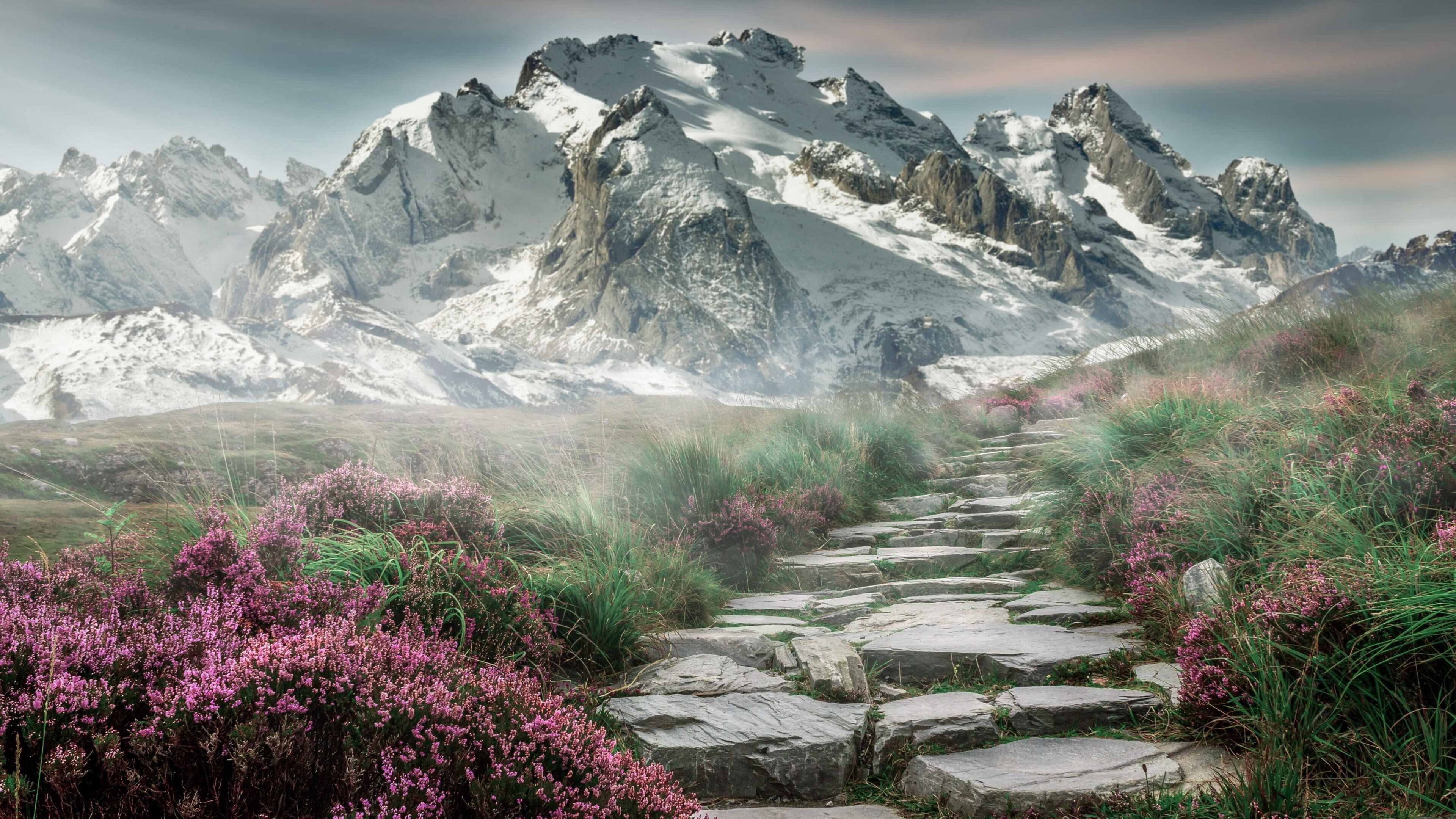 LPL战队推行全员体能数据实时监控系统，lol 全体