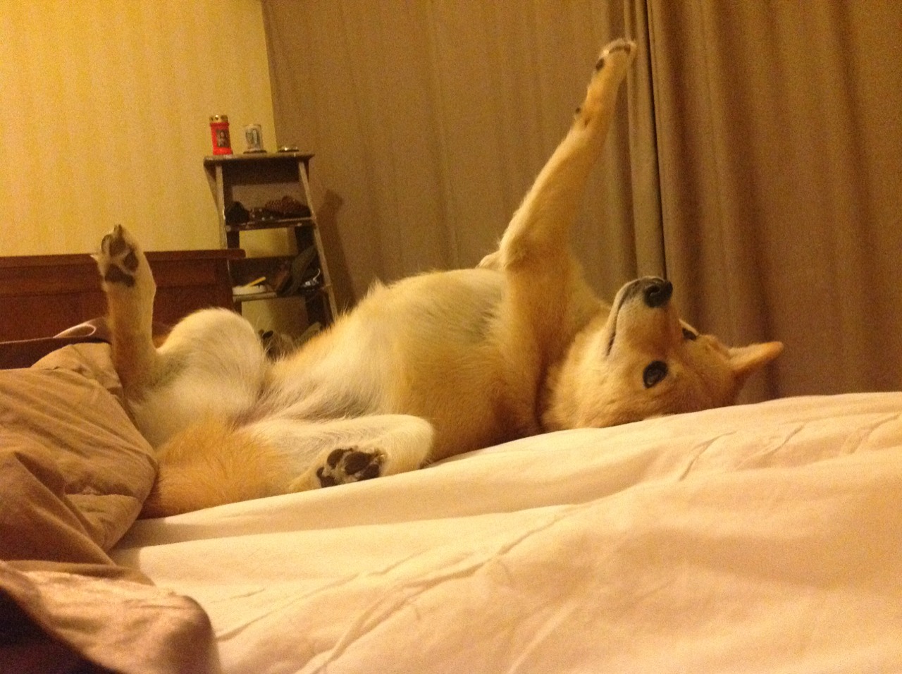 中国男足在巴黎奥运会上展现出强大的团队协作能力,中国男足奥运会表现