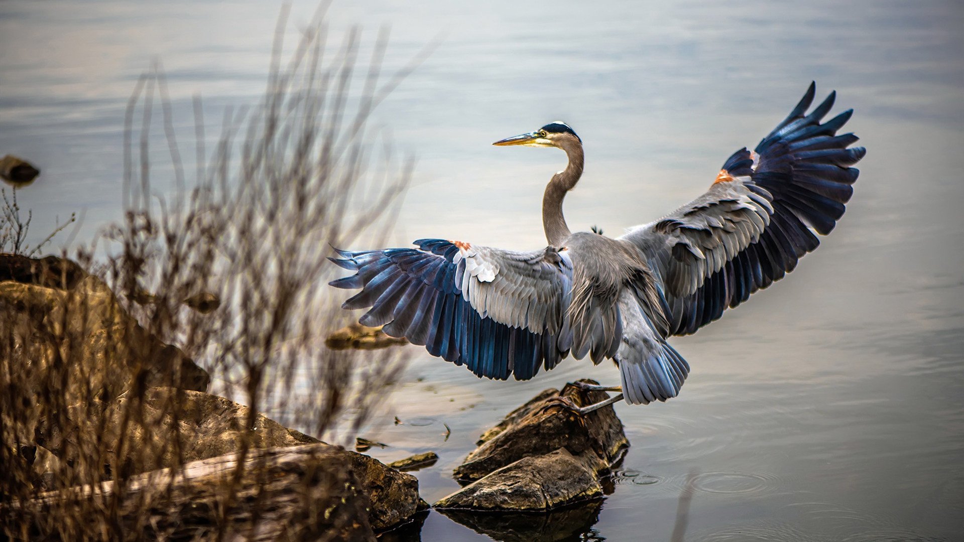 升班马球队是否更依赖体能与拼抢打底，升班马是啥意思