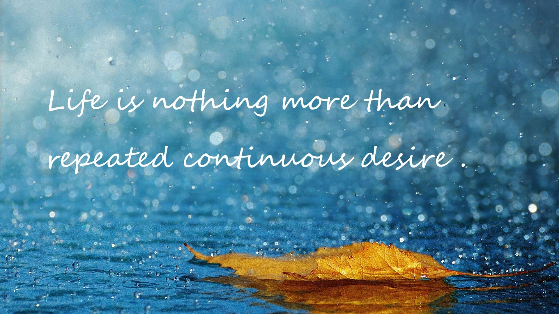 开云入口-河南男篮一鼓作气，力克劲敌，河南男篮最新消息