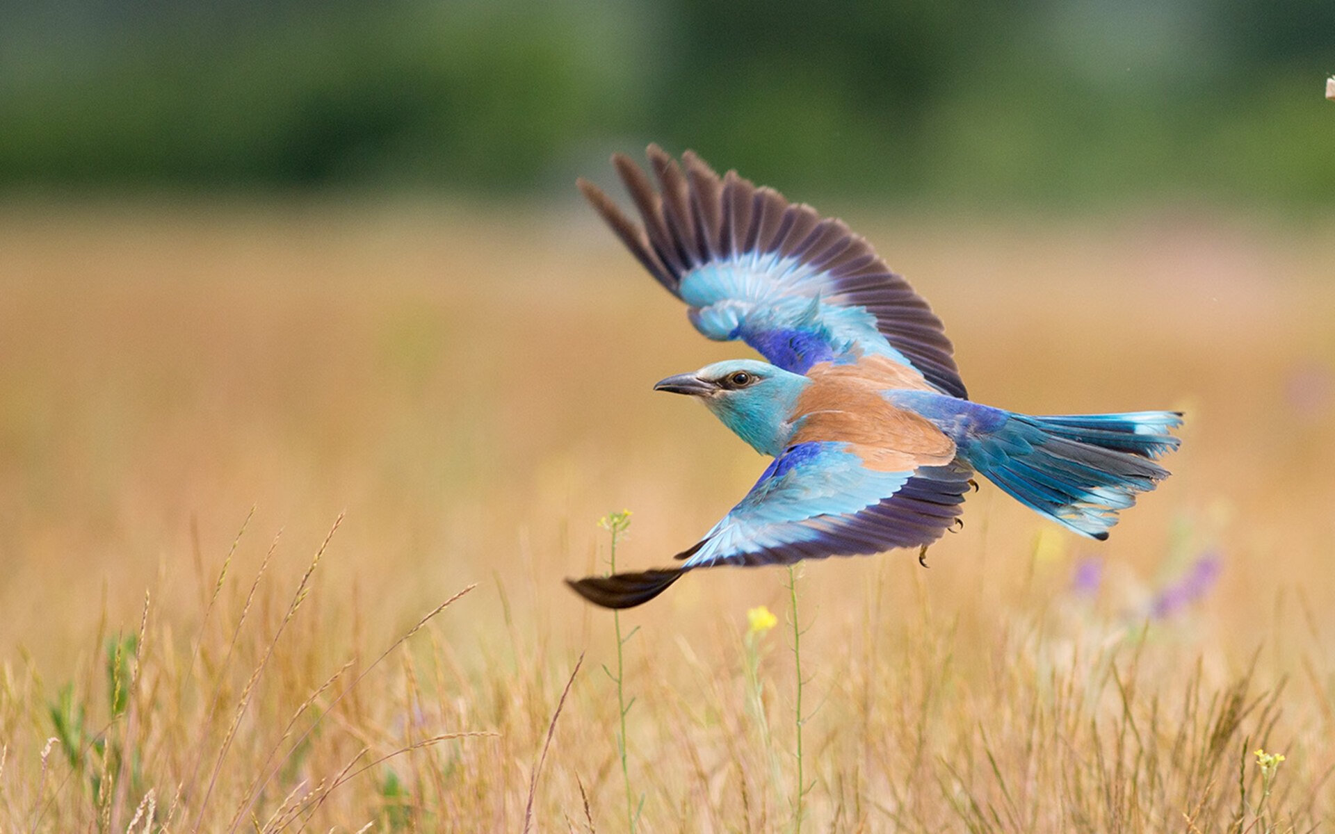 腾讯电竞赛事品牌价值持续攀升，腾讯电竞赛事品牌价值持续攀升是真的吗