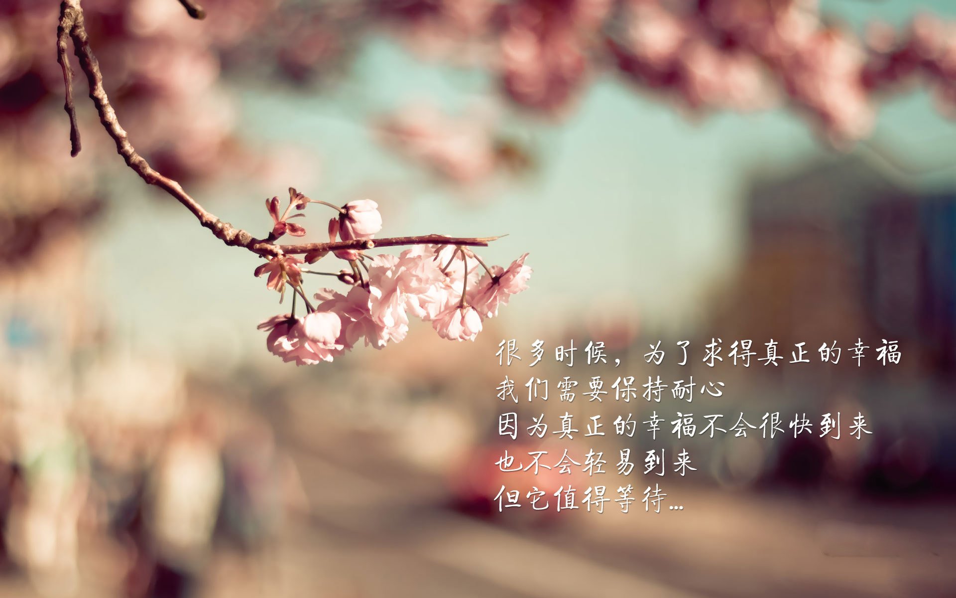 开云网页版-莱斯特城继续领跑，冲击英超冠军，莱斯特城继续领跑,冲击英超冠军是哪一年