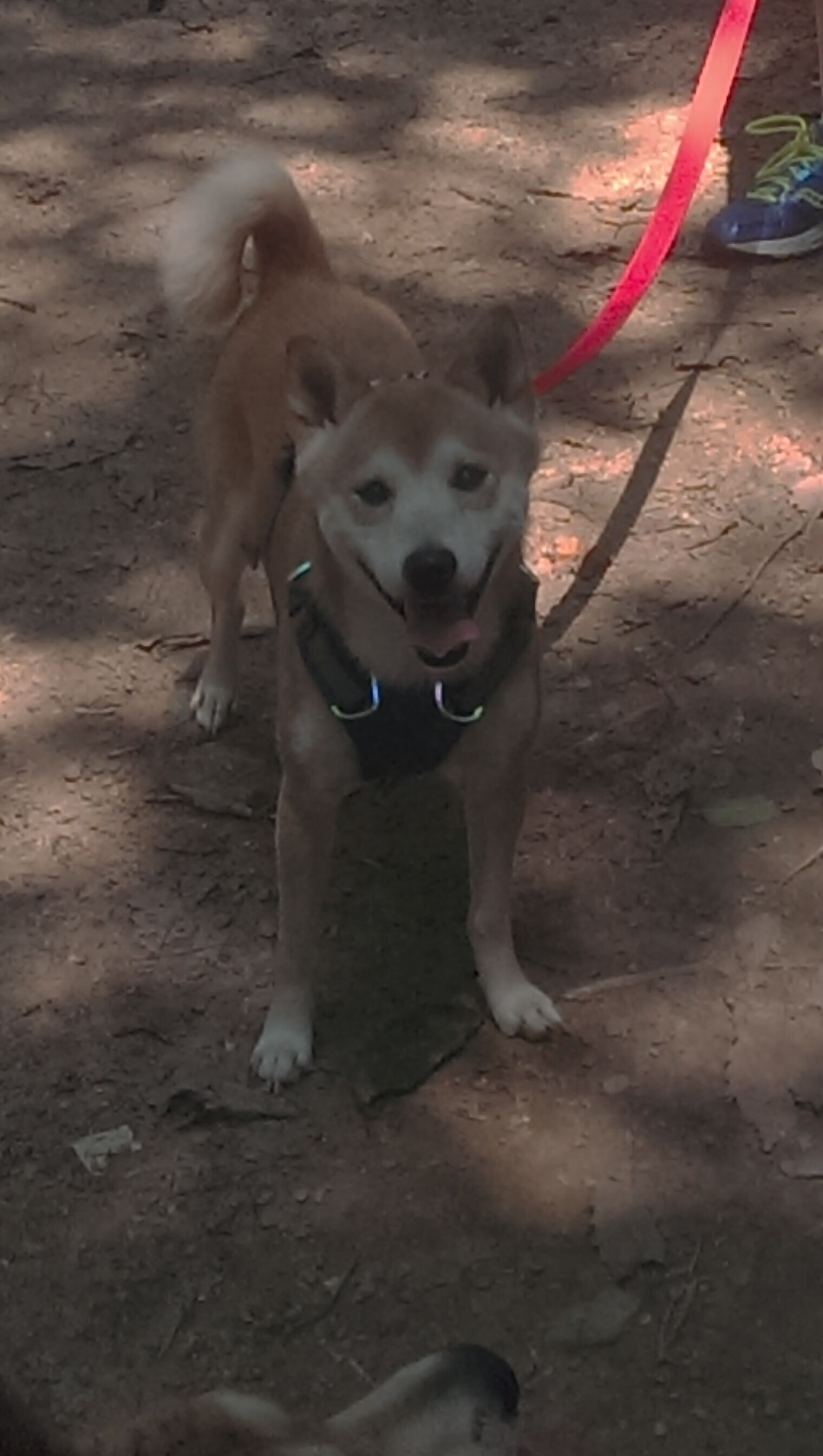 青训体系建设与完善，青训理念