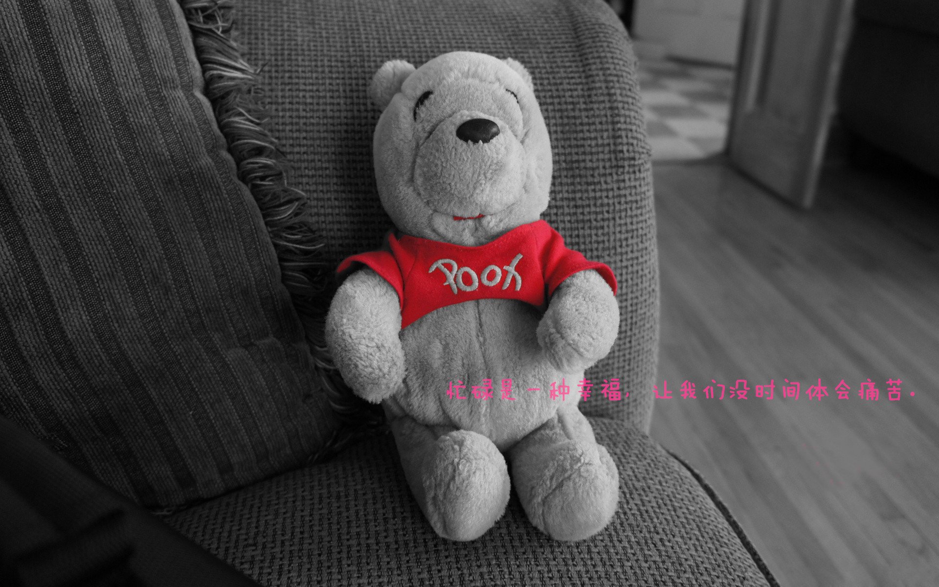 开云中国-黄蜂球队年轻球员表现抢眼，黄蜂球队以前叫什么