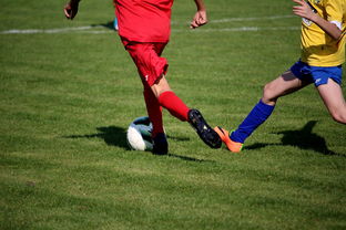 Kaiyun APP-NBA球员训练计划优化设计，nba运动员训练计划