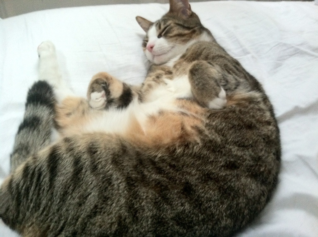 世界山地自行车世界杯中国骑手入围决赛，山地车赛首次举办世界杯