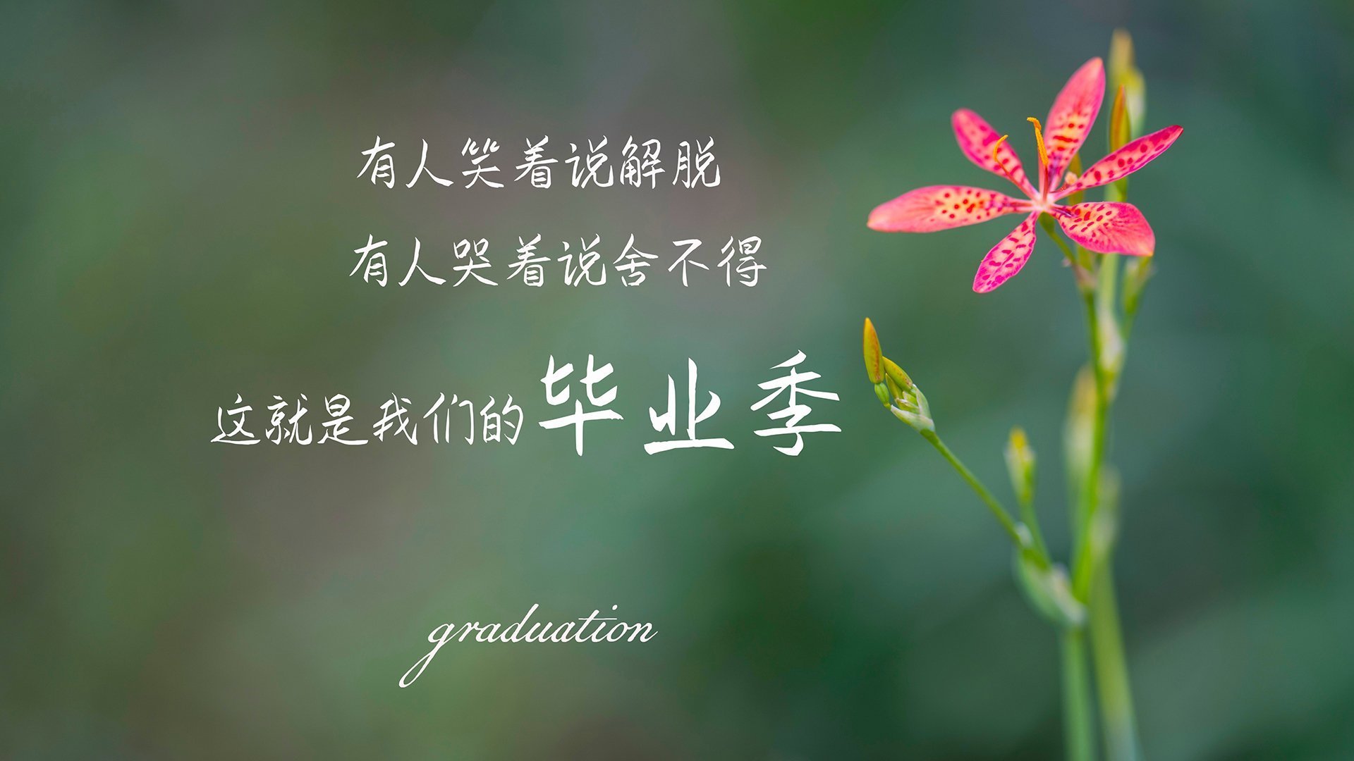 开云体育-体育赛事数字版权保护，数字化体育赛事