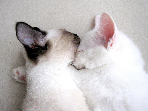 国足防守强度与失球关系回归分析,国足防守反击