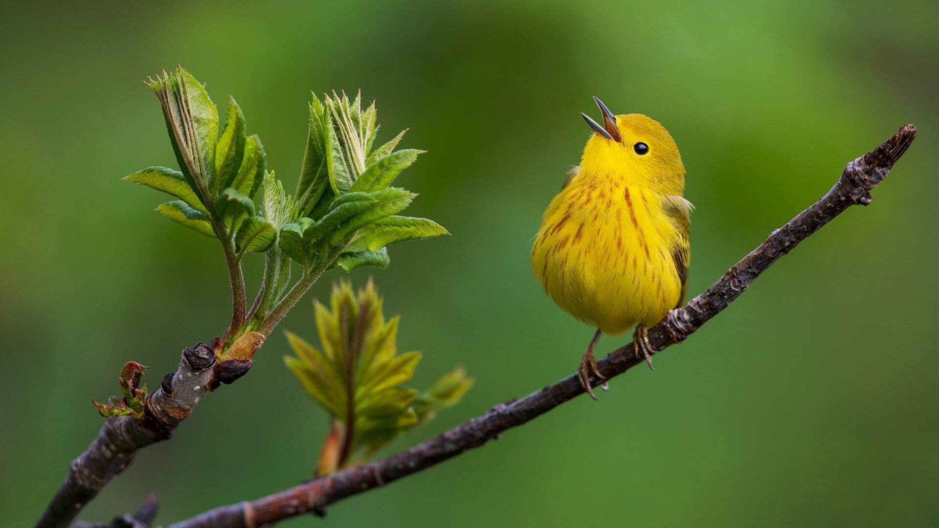 开云官网APP下载-英超球队高压战术执行中体能衰减速率与失误率关系研究