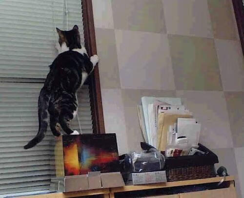 CBA联盟发展智能化统计体系支撑分析,cba统计数据