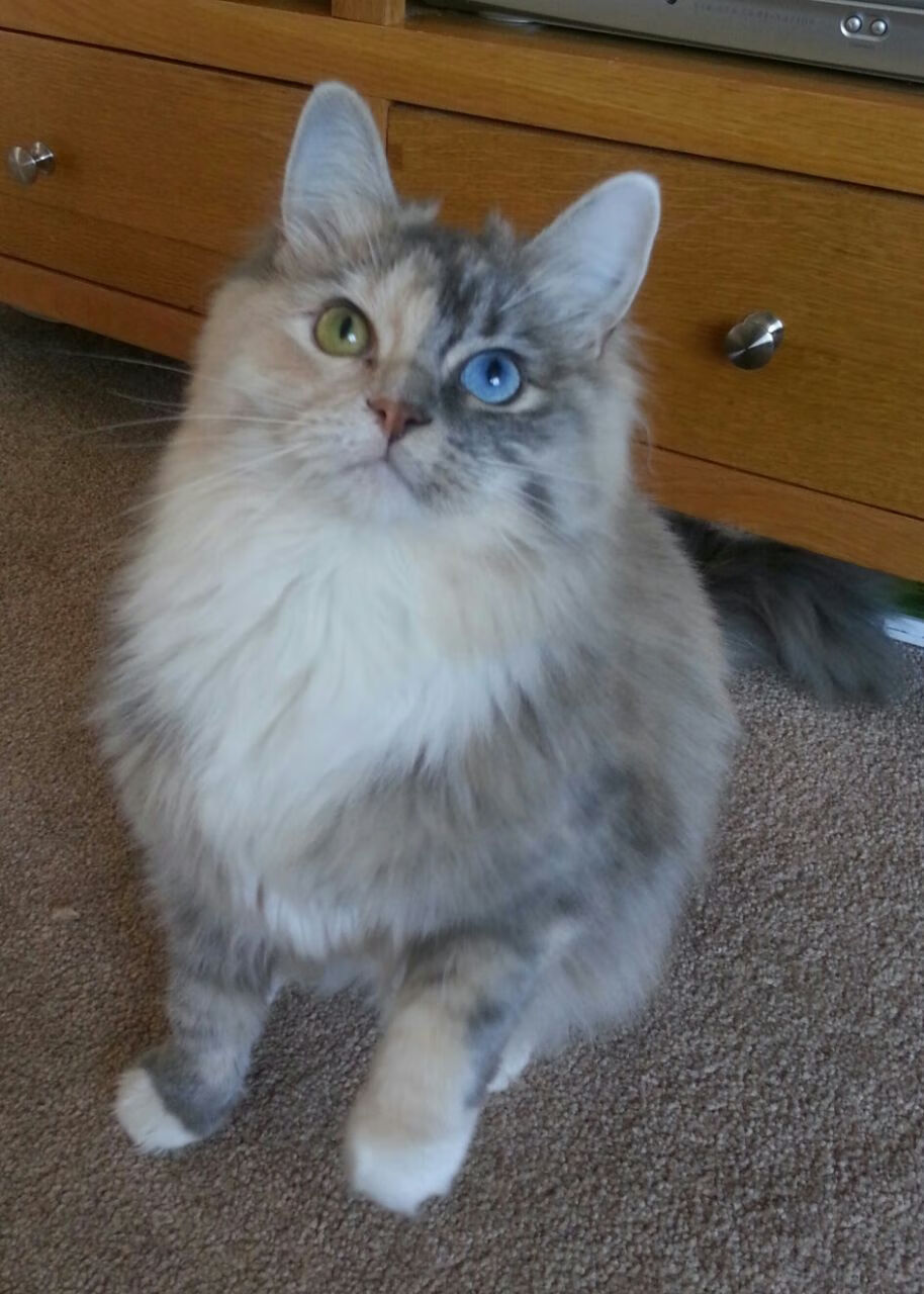 开云中国大陆-“高新体育中心：篮球赛场上演激烈拼抢与战术博弈”