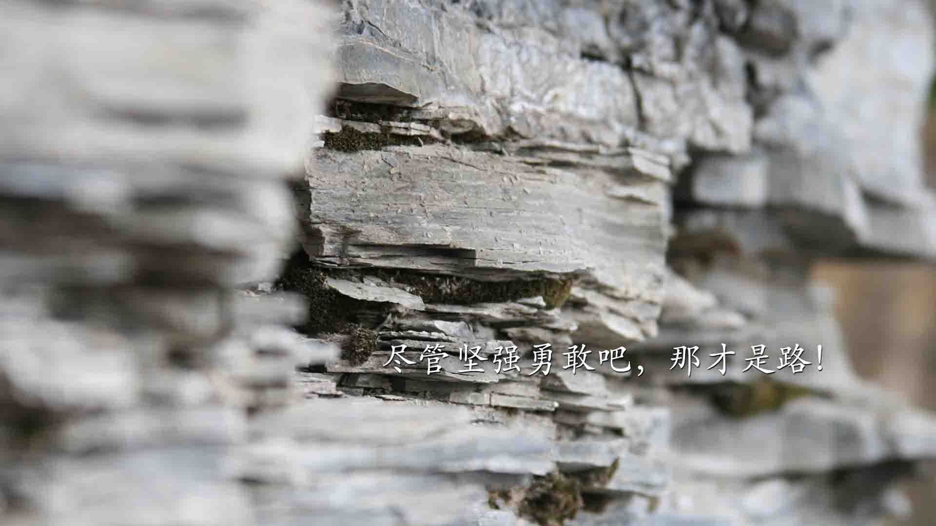 开云·体育官网APP下载-乒乓球胶皮技术革新，击球更具威胁，乒乓 胶皮