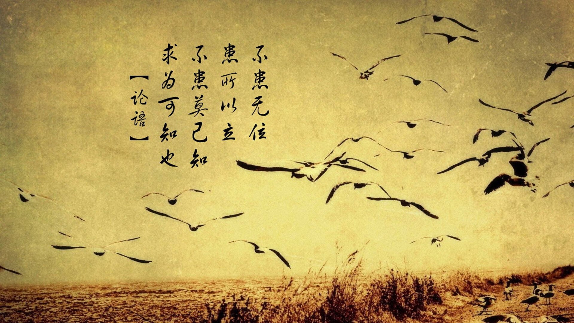 五大联赛比赛节奏变化是否能在数据模型中被提前预判,五大联赛节奏最快