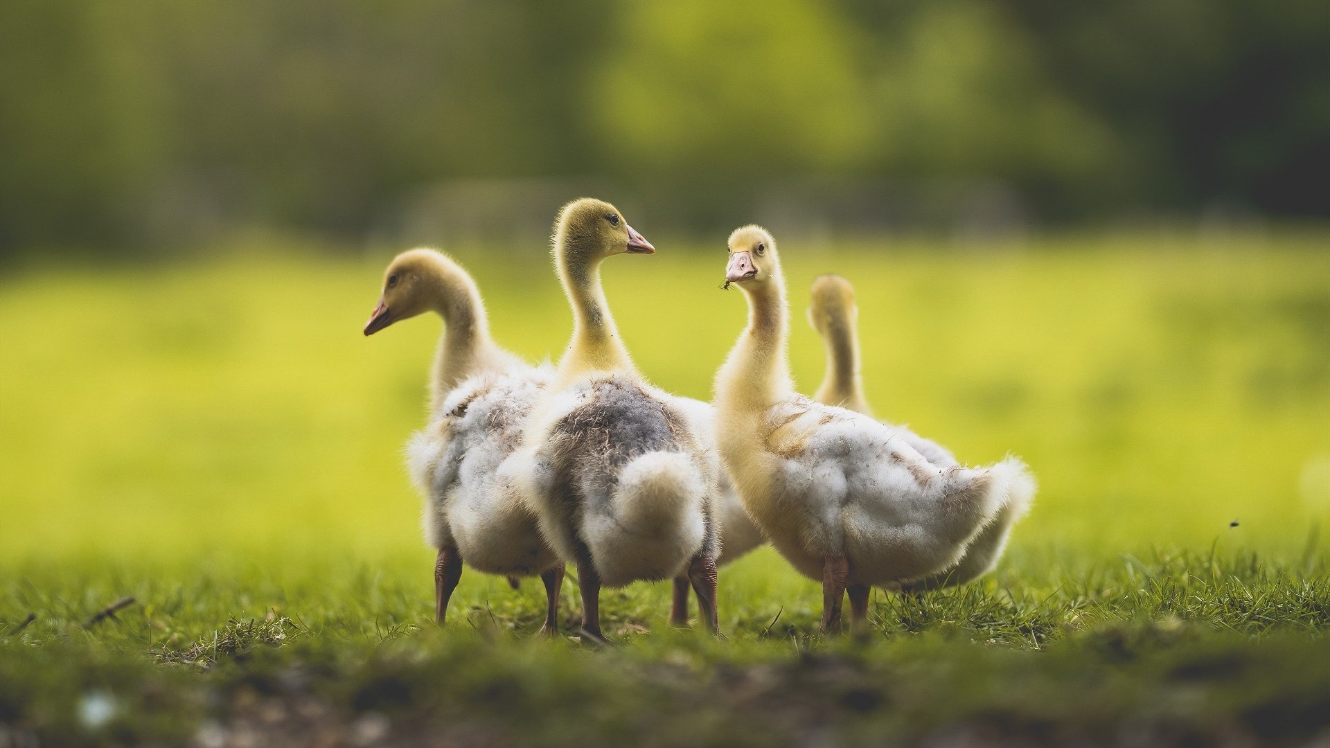 出发与转身衔接流畅,节省时间