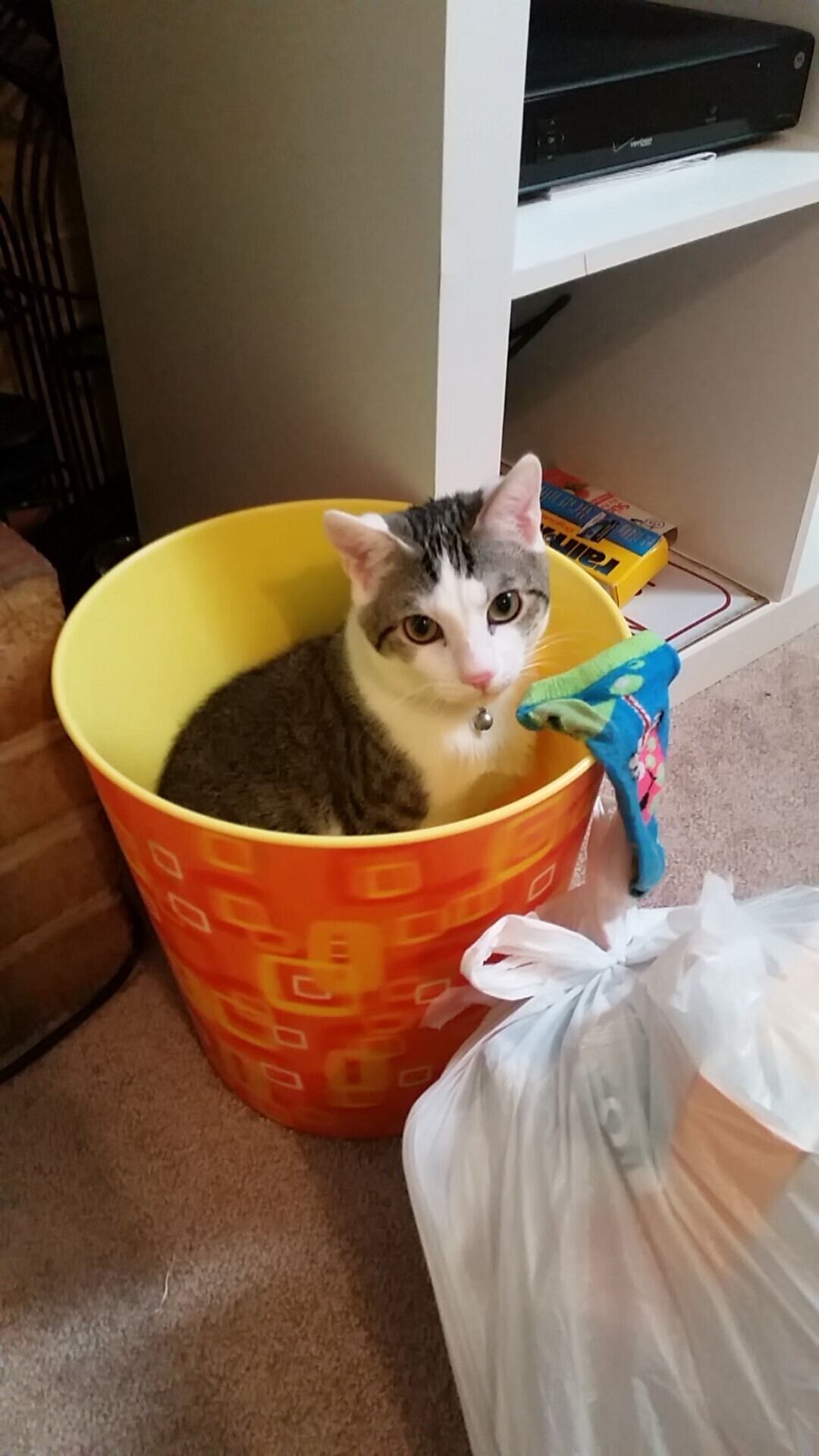 印度队在2024年世界杯中的表现:用实力证明自己,印度参加世界杯