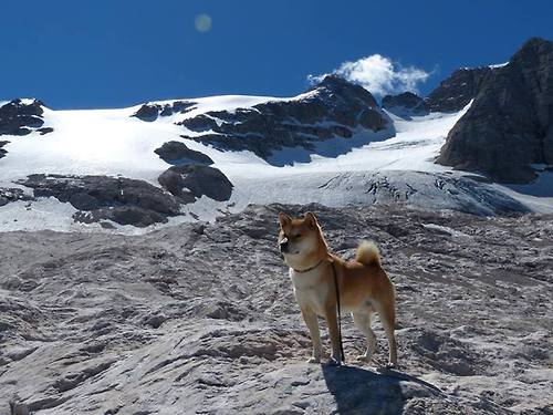 攀岩运动吸引力增强参与度提升，攀岩运动吸引力增强参与度提升的原因