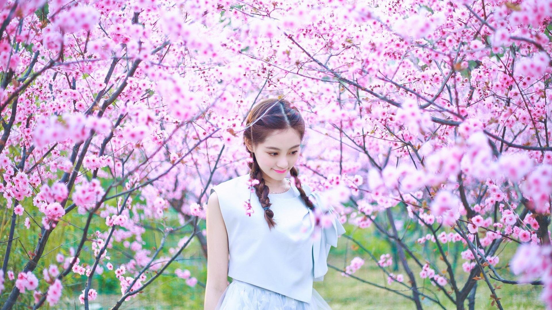 新加坡队赛制深度解析:如何在复杂赛制中保持团队凝聚力,新加坡队员