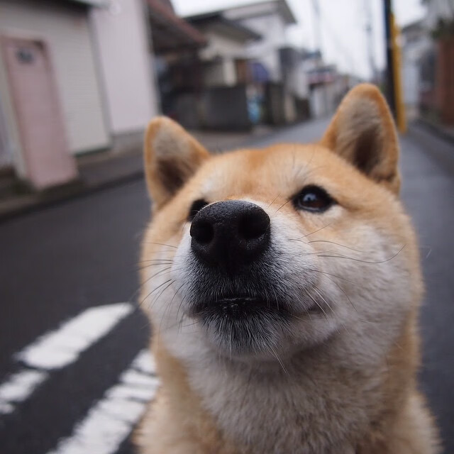 kaiyun官方网站-职业球员商业化影响竞技重心，商业化对现代足球运动发展的影响