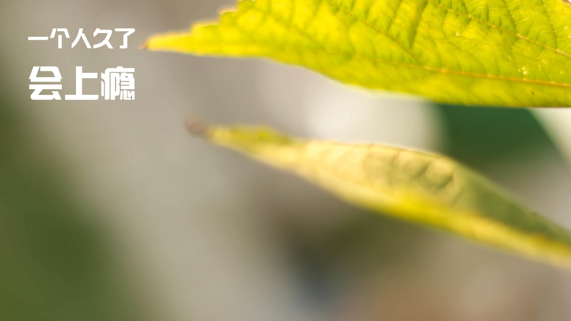 kaiyun登录入口-青少年马术基础课程进驻东部多地小学，青少年马术u系列赛