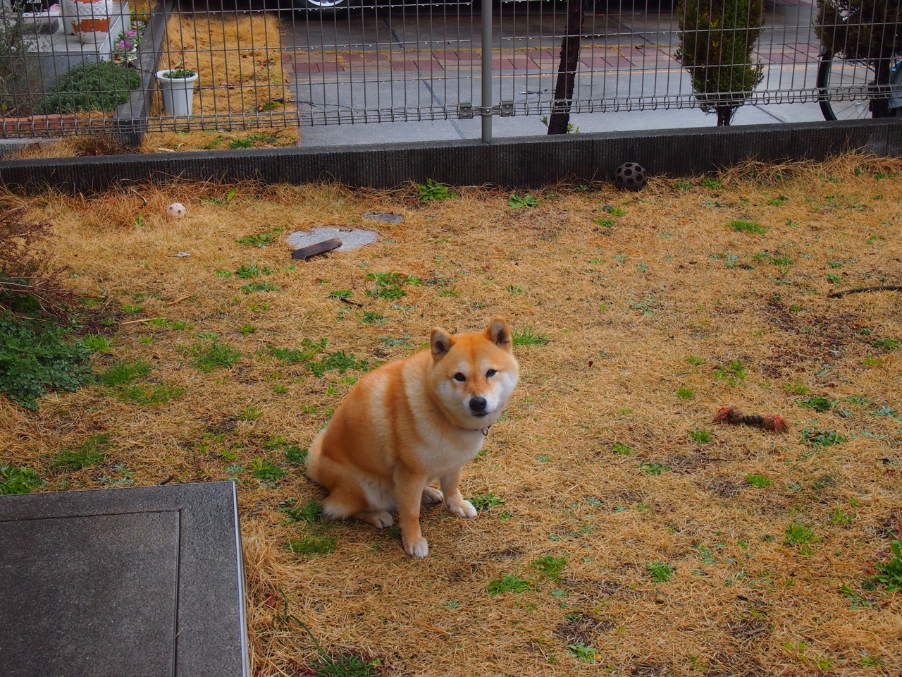 kaiyun登录入口-国家篮球训练中心发文明确训练分组与考核机制，国家篮球队训练周表