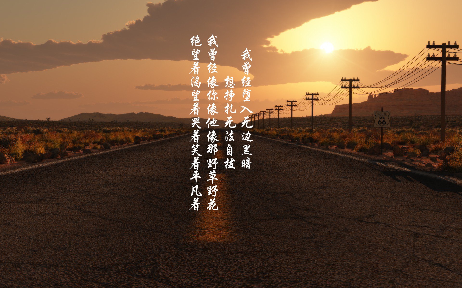 比赛现场气氛火爆回顾,比赛现场气氛活跃