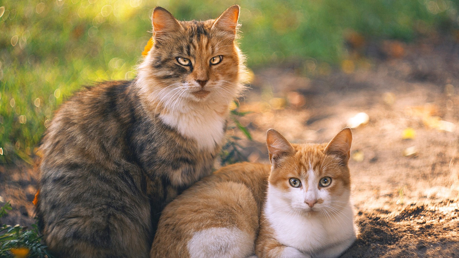 青训中心设立学生成长顾问提供学训生涯指导,青年成长训练营的总结